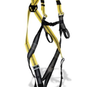 ARNES SEG 1888-AB DORSAL