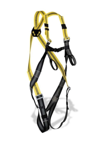 ARNES SEG 1888-AB DORSAL