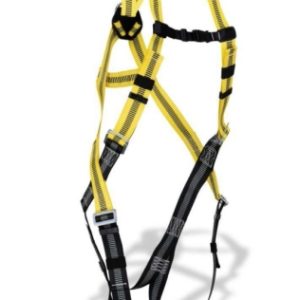 ARNES SEG 1888-ABF DORSAL/FRON