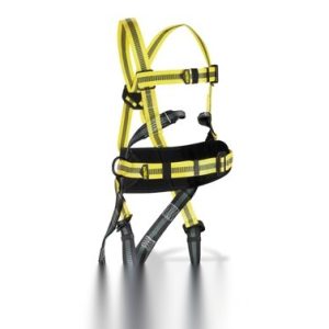 ARNES SEG 1888-AC DORSAL/FRONT