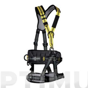 ARNES SEG 1888-ATS VENTRAL/DOR