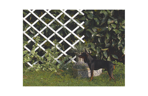 CELOSIA EXTEN 1X2MT TRELLIFLEX