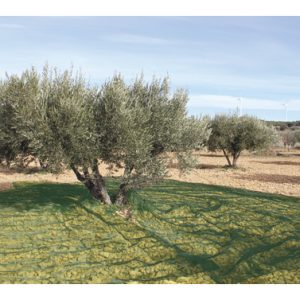 MALLA ACEITUNAS CONFECC. 4X8MT