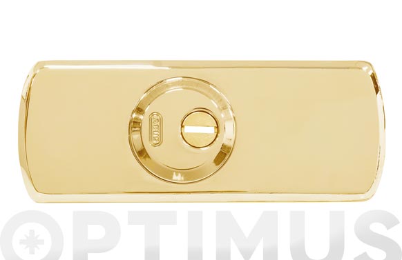 ESCUDO CILINDRO RHZS 524 70X18