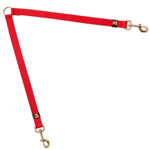 CORREA MASCOTA BASIC NYL RO