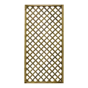 CELOSIA MADERA PREMICES CON MA