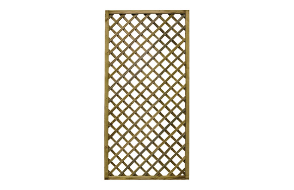 CELOSIA MADERA PREMICES CON MA