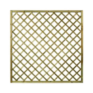 CELOSIA MADERA PREMICES CON MA