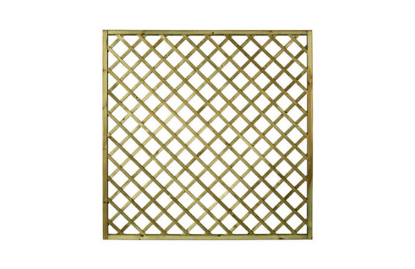 CELOSIA MADERA PREMICES CON MA