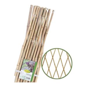 CELOSIA EXTENSIBLE BAMBU 120 X