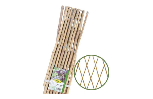 CELOSIA EXTENSIBLE BAMBU 120 X