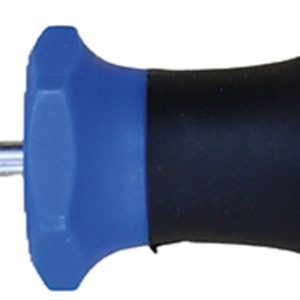 DESTORNILLADOR P.TORX T 10 X 7