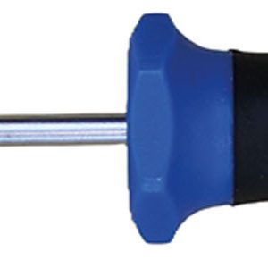 DESTORNILLADOR P.TORX T 15 X 1