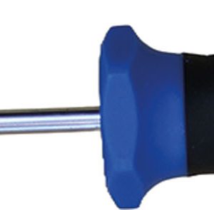 DESTORNILLADOR P.TORX T 20 X 1