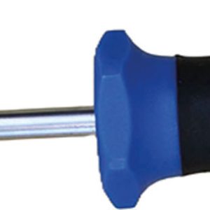 DESTORNILLADOR P.TORX T 25 X 1