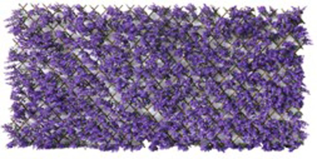 CELOSIA EXTENSIBLE MIMBRE LILA