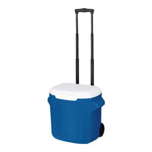 NEVERA RIGIDA CON RUEDAS 28 QT