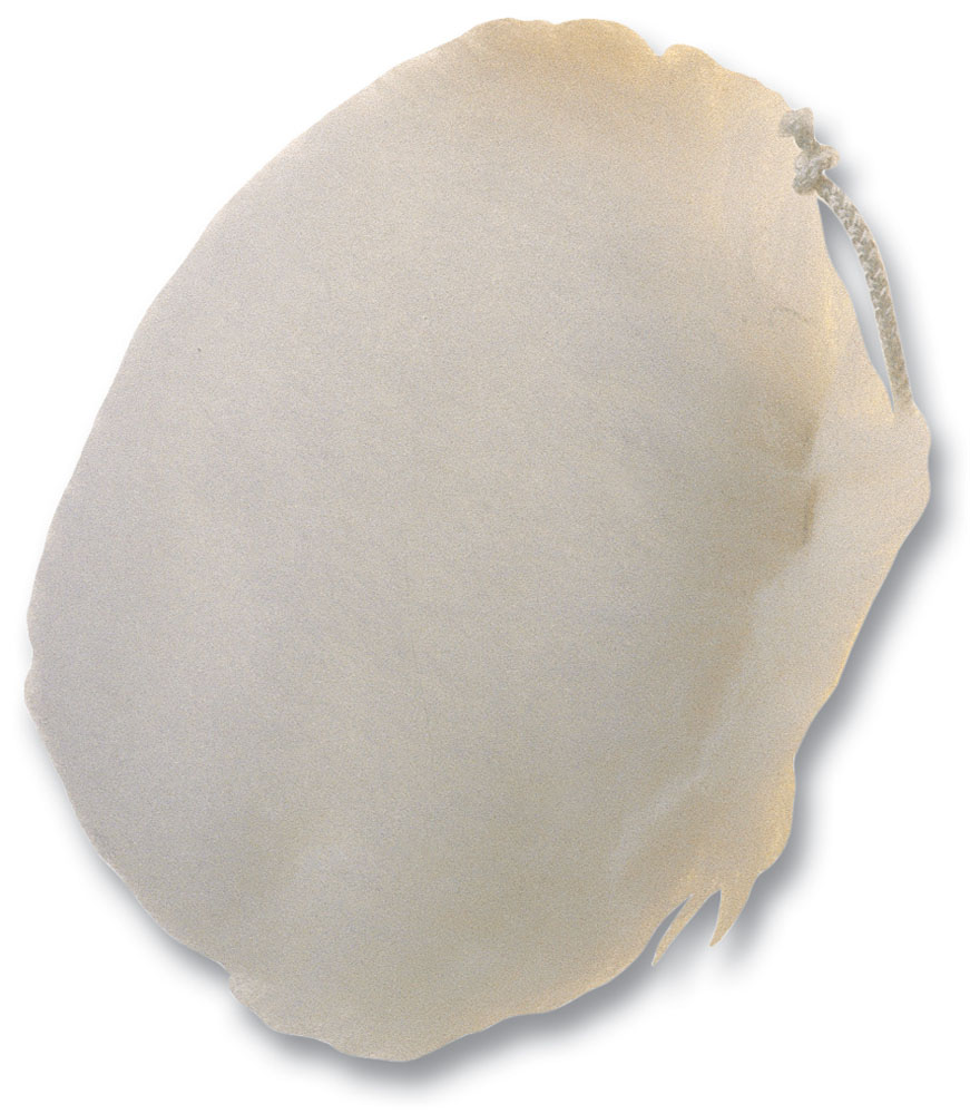 BOINA PARA AMOLADORA 125 MM