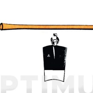 MANGO PICOPICACHON Ø 45-50 X 9