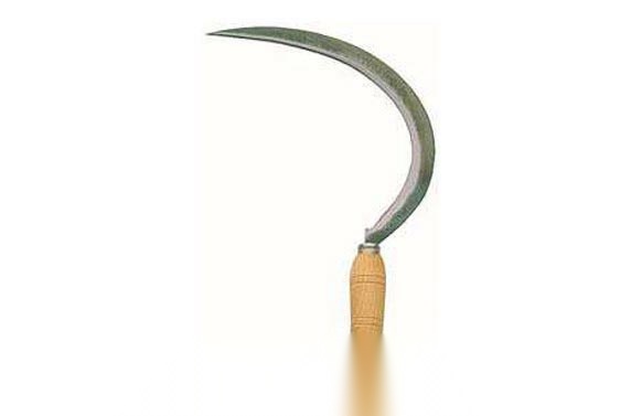 HOZ CORTE DENTADA 22X394 MM