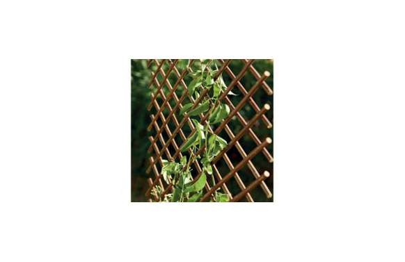 CELOSIA EXTENSIBLE MIMBRE 1X2