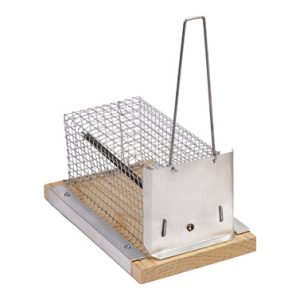 RATONERA 1 TRAMPILLA SAUVIC 21