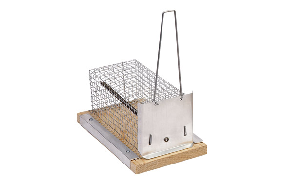 RATONERA 1 TRAMPILLA SAUVIC 21