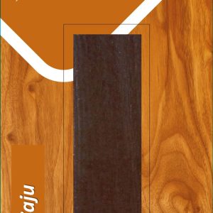 CERA EMPLASTECER 25 GR CAO ACE