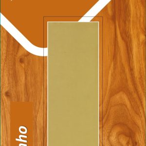 CERA EMPLASTECER 25 GR PIN ACE