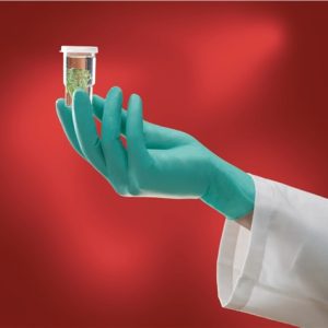 GUANTE DESEC 7,5- 8 NEOP VD MI