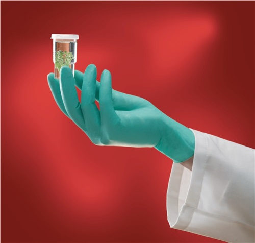 GUANTE DESEC 8,5- 9 NEOP VD MI