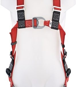 ARNÉS SEGURIDAD 2 PUNTOS TALLA