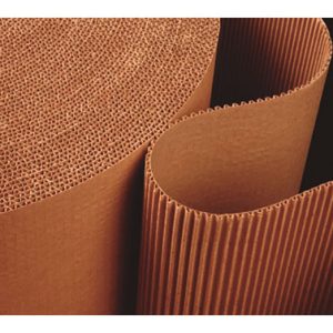 CARTON PINTOR ONDULADO 90CMX 4