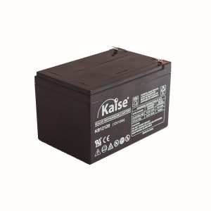BATERÍA 12V 12000 MAH PLACAS D