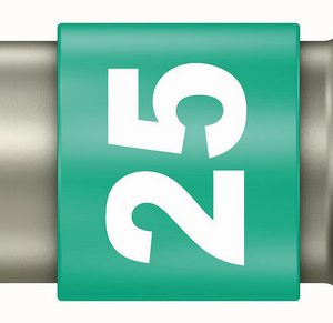 PUNTA ATORN TORX INOX T25 1/4