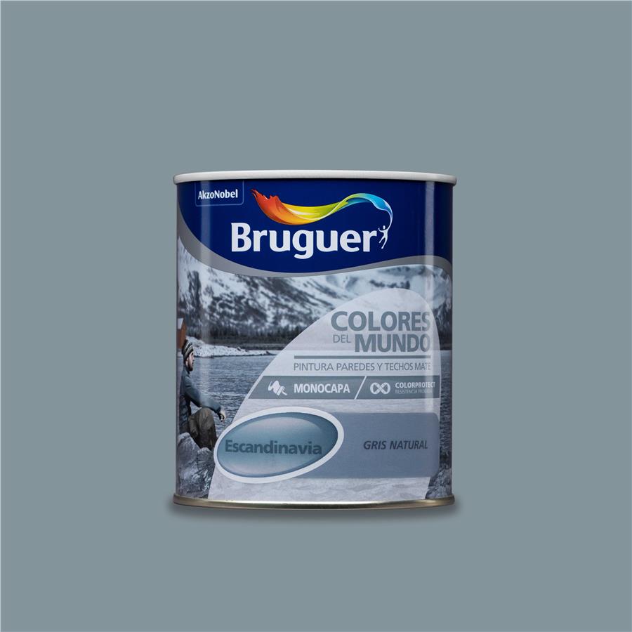 PINTURA PLAST GRIS NATURAL ESC