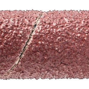 MANGUITO ABRASIVO MET 15X30MM