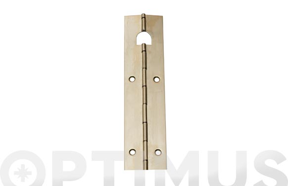 BISAGRA PIANO 32X480MM LATON 3