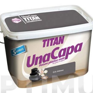 PINTURA MATE INT. GRIS INTENSO