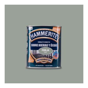 ESMALTE ANTIOXI. GRIS 5093227