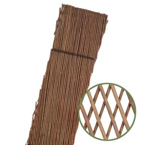 CELOSIA EXTENSIBLE MIMBRE 50X1