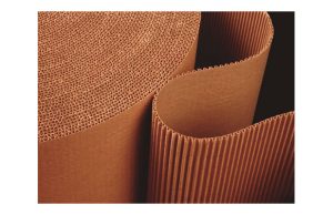 CARTON PINTOR ONDULADO 90CMX 4