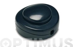 INTERRUPTOR 2A-250V DE PIE 65X