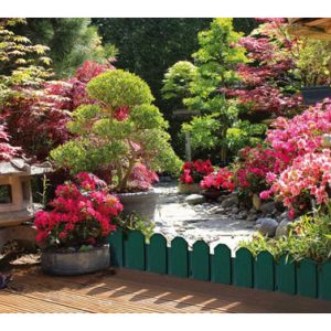 BORDURA SIERRA 22X81CM BORDER