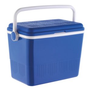 NEVERA RIGIDA 42L CAMPOS