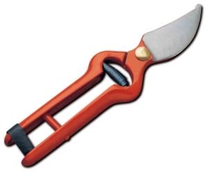 TIJERA 1 MANO 22 CM NT105869