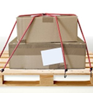 PULPO SUJ TRANSP RDO MURTRA