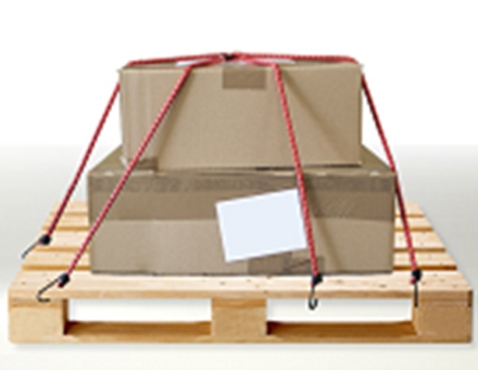 PULPO SUJ TRANSP RDO MURTRA