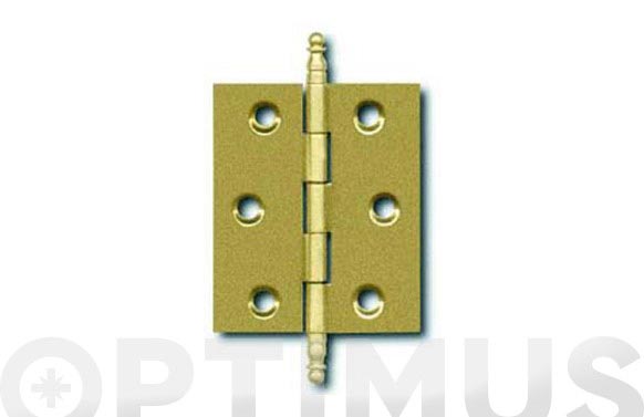 BISAGRA R/ALTO 70X50MM LAT 207