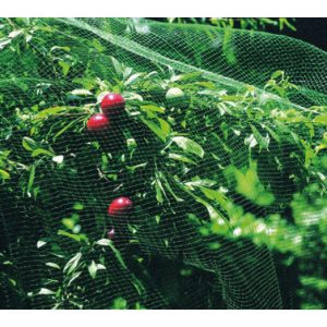 MALLA ANTI-PAJARO NATUUR 2X10M